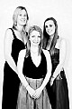 Ball photograph 6288-BW-20081127LEIC.jpg from the 20081127-Leicester